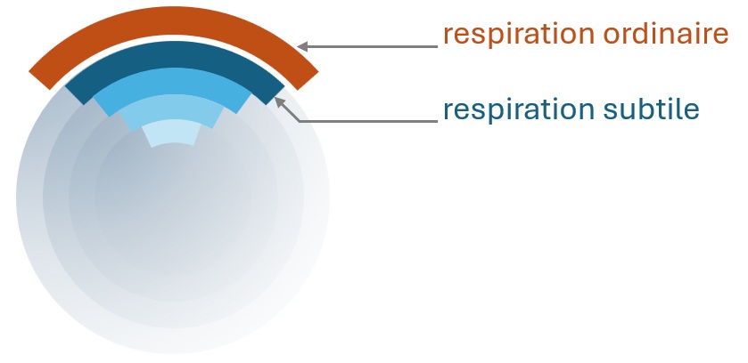 Méditation vipassana respiration subtile