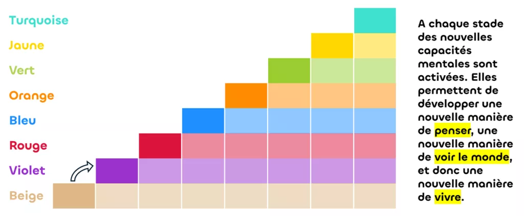Les stades de la spirale dynamique